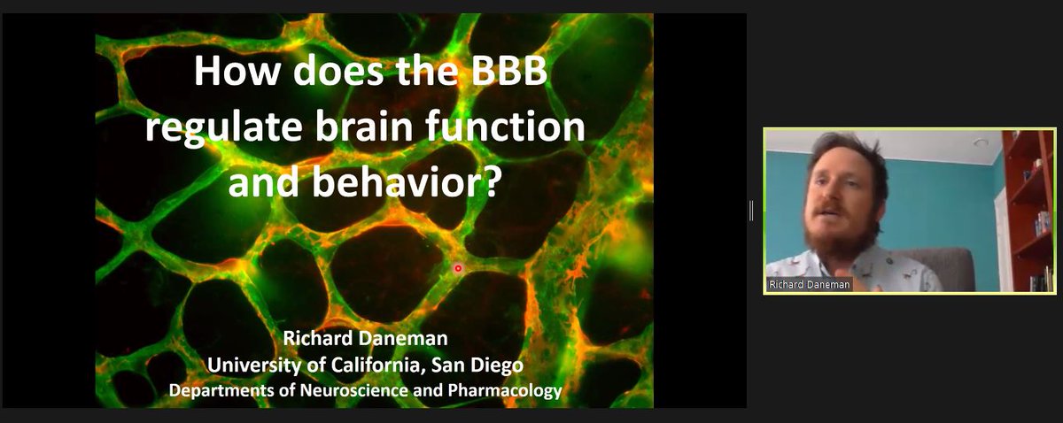 DrLinOng's tweet photo. Fantastic talk on How does the BBB regulate brain function and behavior? by Richard Daneman #BBV2020
Fun fact: Endothelial cells in the brain produce enzyme that make and break dopamine https://t.co/5cjDUJktSz