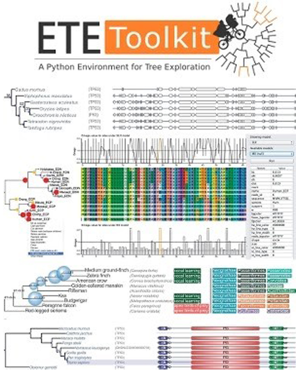 #NewsCBGP | CBGP team awarded Chan Zuckerberg grant to support scientific software for phylogenomic analysis

🇪🇸 - cbgp.upm.es/index.php/es/?…
🇬🇧 - cbgp.upm.es/index.php/en/?…

#somosUPM