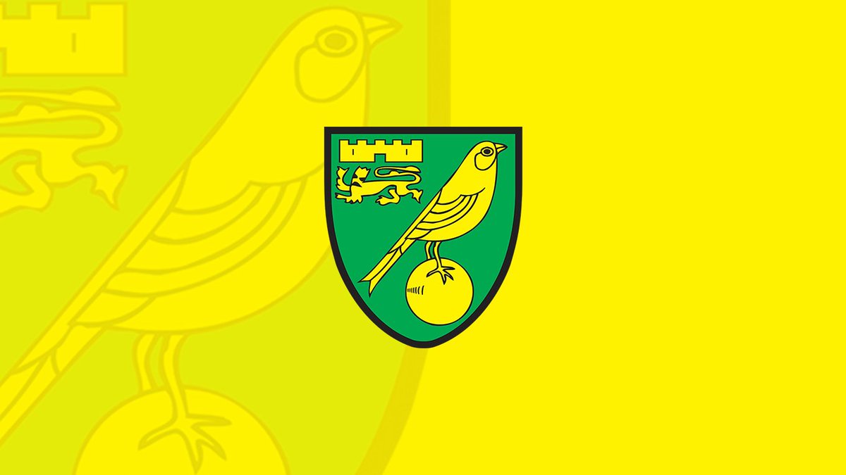 Thread on why Norwich will be fine if relegated and how we'll likely line up next season (long thread)