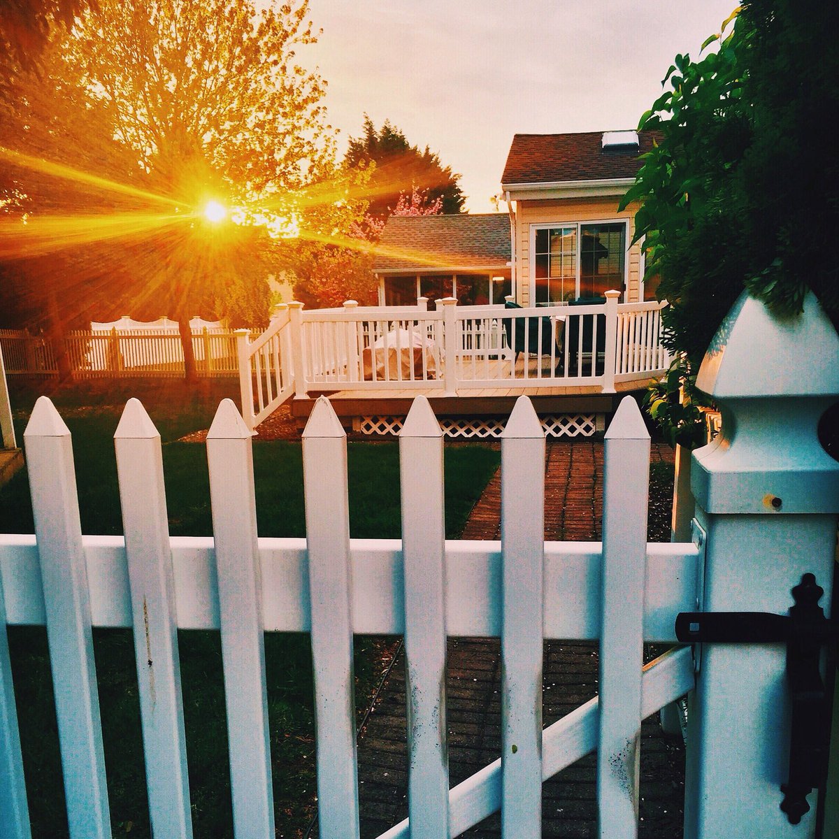 Culturally I was brought up to be, what many call "American" – in actuality, they mean white.My family thinks mild chicken wings are "too spicy" and calamari is "exotic." We go to Sunday church and have a literal white picket fence. I was taught to "not see color."