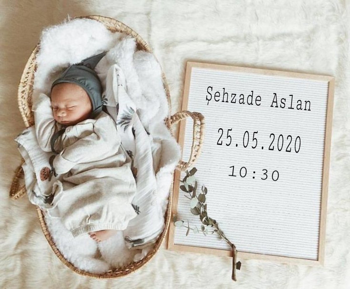 KsiazeBajek's tweet photo. The wait is finally over! We’re thrilled to welcome Şehzade Aslan! 🦁❤️
25.05.2020 https://t.co/VOyQ4hMwbt