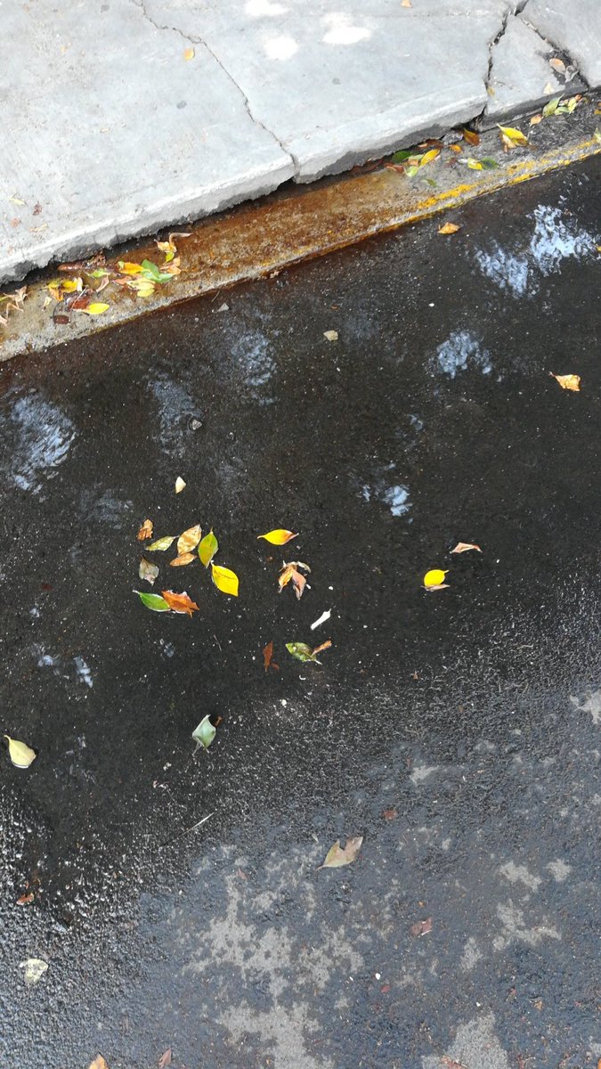 Madrede4feos's tweet photo. @SacmexCDMX fuga de agua desde hace ya una semana https://t.co/NqYF1EKBDe