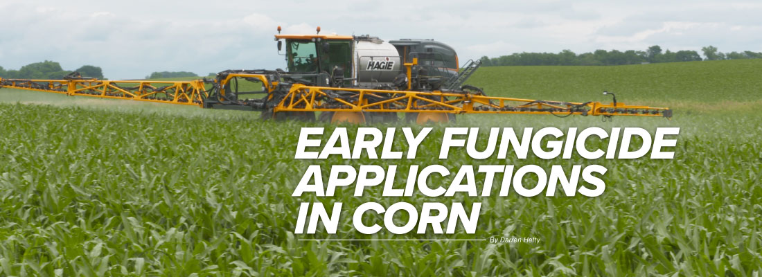 HeftySeed's tweet image. Add 3-6 bushels! TRIPLE your fungicide investment and learn how to REALLY make corn fungicides work. #heftyyields #agronomyanswersyield #plant2020 #growbigcorn bit.ly/2zwGmHA
