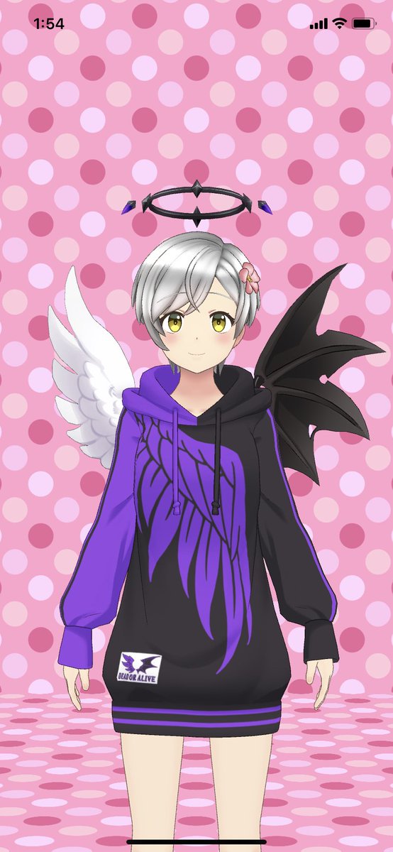 天使の輪、堕天使の羽、パーカー2種類出たんだけどこれひょっとして割