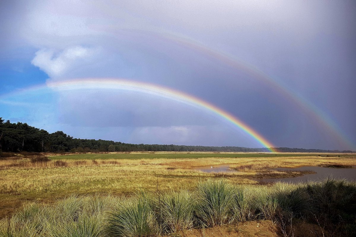 HolkhamEstate's tweet image. Image of the Day: Holkham Beach is most certainly the pot of gold at the end of the rainbow 🌈💜
#HOLKHOME
@vstnorthnorfolk 
@NNorfolkLiving 
@PlacesandFaces 
@VictoriaHolkham 
@jake_fiennes