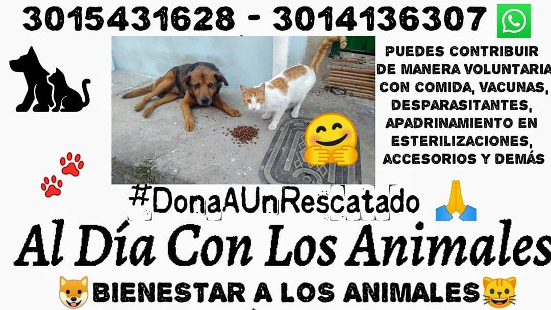 🐾 Apoyanos en esta actividad que haremos este sábado en la localidad de #Usme por el sector #SanPedro y #VillaDiana. 

Estaremos con <a href="/UnlugarE/">unlugar_enelmundo</a>; fundadora <a href="/TataMendoza/">Tatiana Mendoza</a>, algunos voluntarios y médicos veterinarios de <a href="/AnimalesBOG/">Protección Animal Bogotá</a>. 

@jaestepab, <a href="/UsmeAlcaldia/">Alcaldía Local de Usme</a>, <a href="/MabelSua/">Mabel Andrea Sua Toledo</a>, <a href="/Bogota/">Alcaldía de Bogotá</a> 🐾