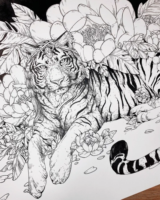 Tiger commission (ㅇㅅㅇ❀) ✨ 