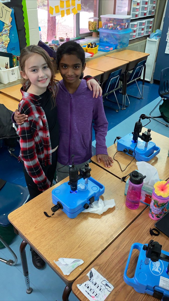 MrsMillerRPS's tweet photo. More pictures with #InSciEdOut partnering with #GageGators to start research using Zebrafish! 🐠 https://t.co/4lOQK9mts0