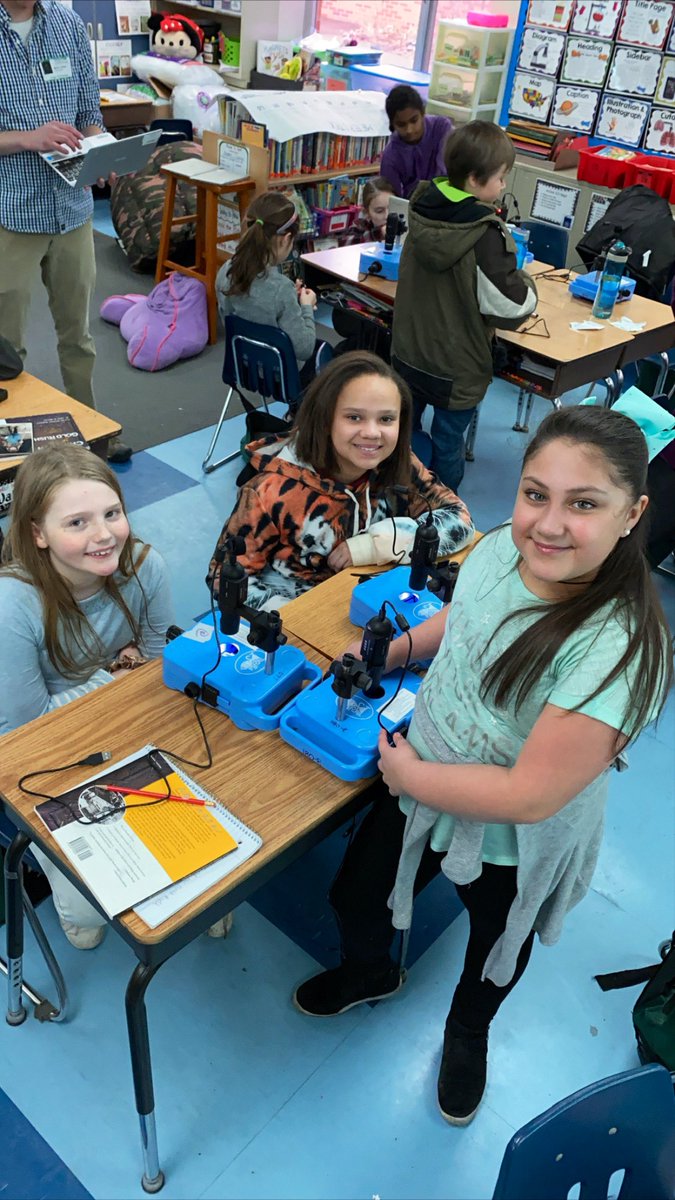 MrsMillerRPS's tweet photo. More pictures with #InSciEdOut partnering with #GageGators to start research using Zebrafish! 🐠 https://t.co/4lOQK9mts0