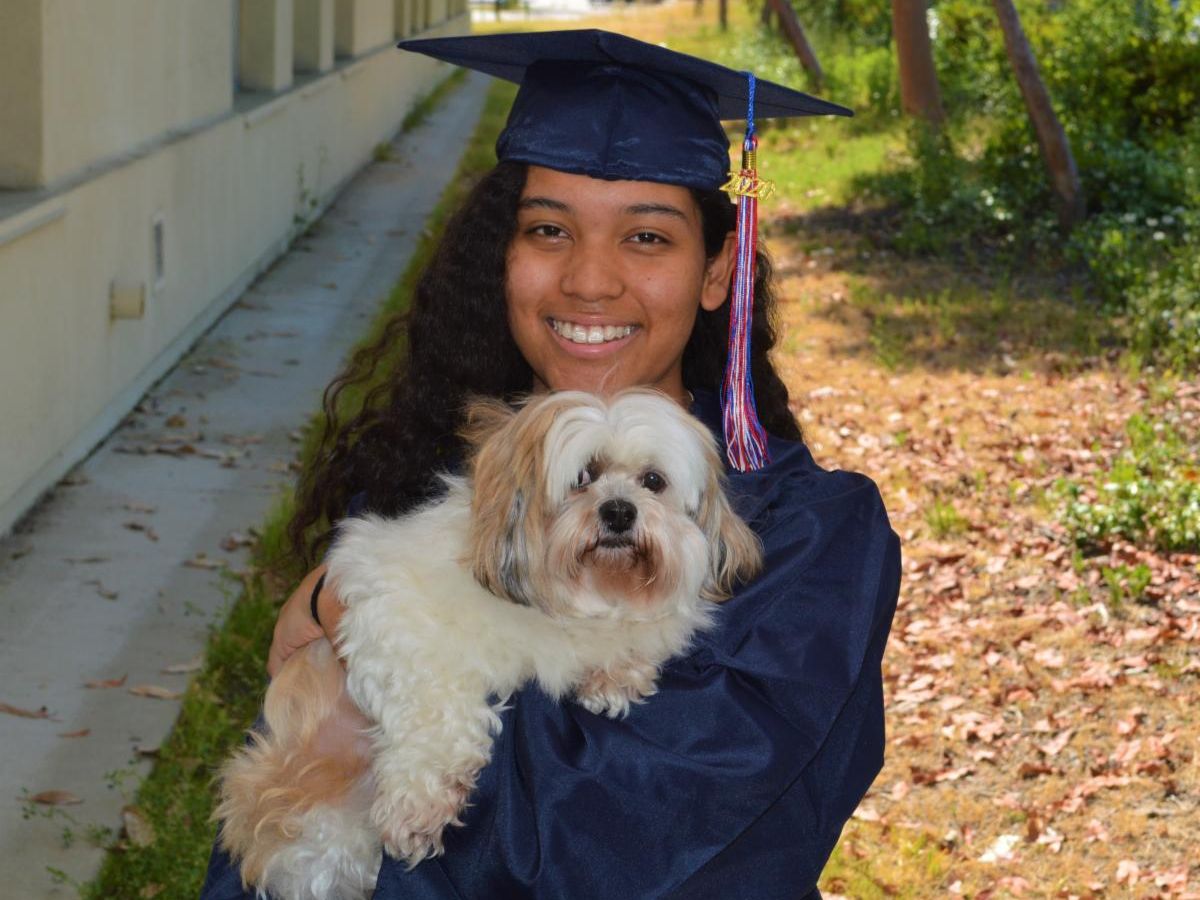 MarshallEagles1's tweet photo. Congratulations to Marshall Fundamental Class of 2020 Senior Holly Howard @pasadenaunified @marshalleagles1 class of 2020 #MFSSSeniorRollCall @pcclancer #Radiology #WeArePUSD #PUSDProud #PublicSchoolProud #MarshallFundamentalProud https://t.co/nE83QufDjr