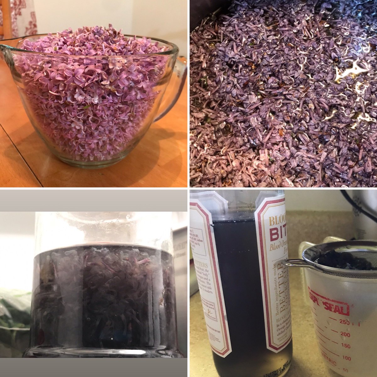 ChezAmyLLC's tweet photo. I made lilac syrup! Tasted it this morning. Alone, it reminds me of cough syrup. That was discouraging. But, diluted in water, it was lovely. 

#chezamy #lilacflowers #lilacsyrup #ieatflowers #edibleflowers #springinwisconsin https://t.co/Hrhs0Q62B5