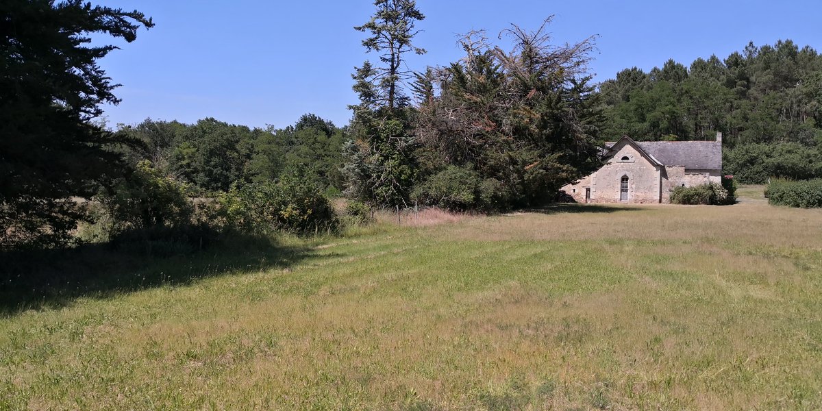 senequeofficiel's tweet photo. Petit à La Lande-Chasle, plus petite commune du #MaineEtLoire avec 148 habitants.
Le centre. Très "mignon"!
#Immobilier #LaLandeChasle #anjou #commune #blason #eglise #prieure #campagne #ViveLaFrance #jaimelanjou #igersanjou #Angers #MagnifiqueFrance https://t.co/RXL2HbbYpH