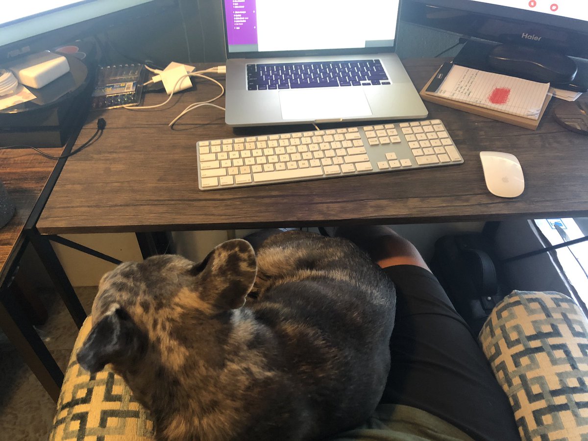 EDDY__BOI's tweet photo. My WFH view 🐶 #remoteflightschool #May27NewTweeps https://t.co/wg3neYhUAM