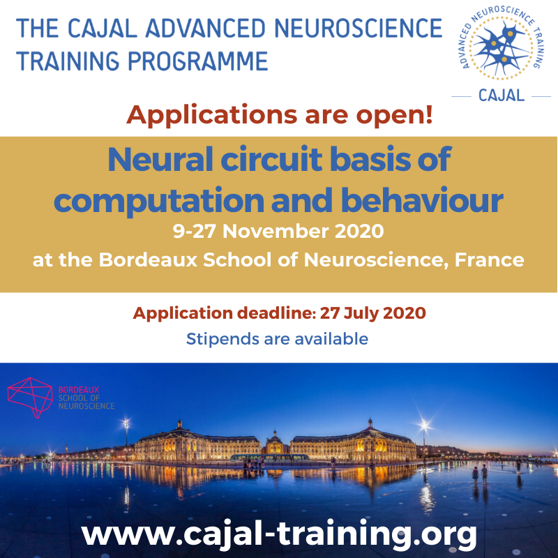 Bordeaux School Of Neuroscience 🧠 tweet media