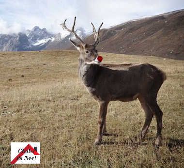 I see #Christmas everywhere I look....