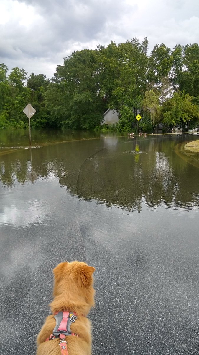 Darrell Weaver tweet media