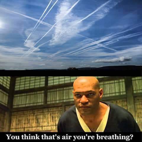 thehealthb0t tweet picture