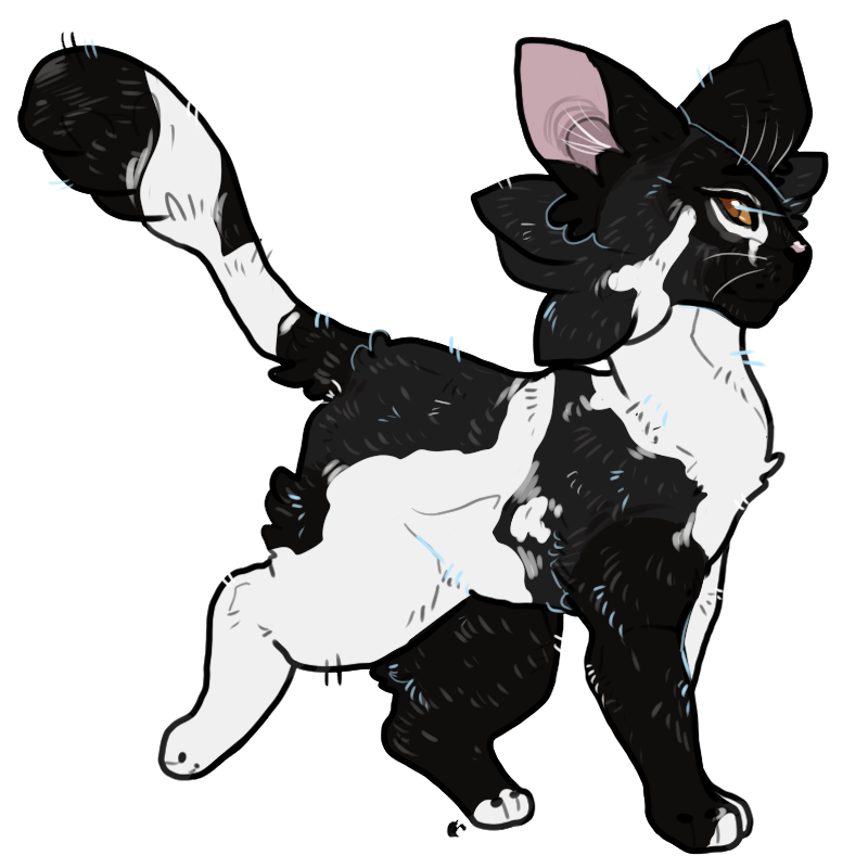 whimsyfinch's tweet photo. #floralempires #rootclan #warriorcats
Spiderpaw and Mantispaw https://t.co/2BCor0qMFG