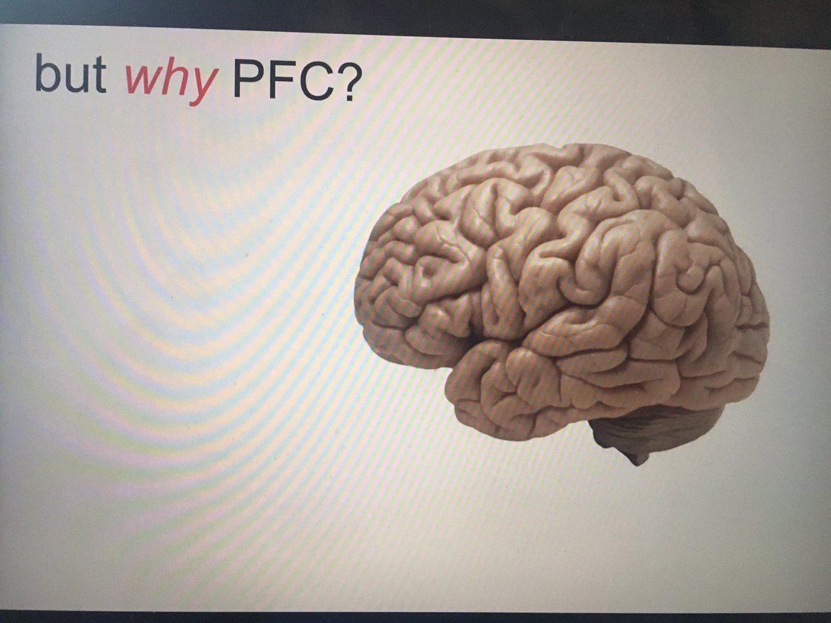 Barry C Smith tweet media