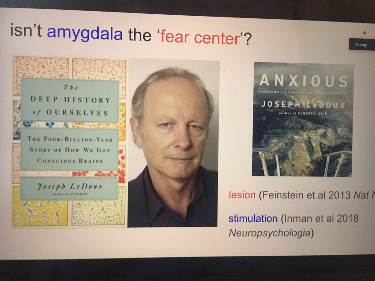 Barry C Smith (@smithbarryc) on Twitter photo Great talk by <a href="/hakwanlau/">hakwan lau 🇺🇦 @hakwan.bsky.social</a> at Consciousness Club @WCHN_UCL dealing with which creatures are conscious and ending with suggested clinical treatments for fear and phobia. Thanks to @smfleming for organizing Great talk by <a href="/hakwanlau/">hakwan lau 🇺🇦 @hakwan.bsky.social</a> at Consciousness Club @WCHN_UCL dealing with which creatures are conscious and ending with suggested clinical treatments for fear and phobia. Thanks to @smfleming for organizing