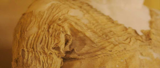 Beket_Aten's tweet photo. The Petrie's collection of ancient #Egyptian clothing is internationally important &amp; includes the so-called 'Tarkhan Dress', which was radiocarbon dated in 2015 &amp; proved to be the oldest known, most complete garment in the world https://t.co/2P6Np9dndz #MuseumsUnlocked #Egypt https://t.co/hg6OIGfNNt