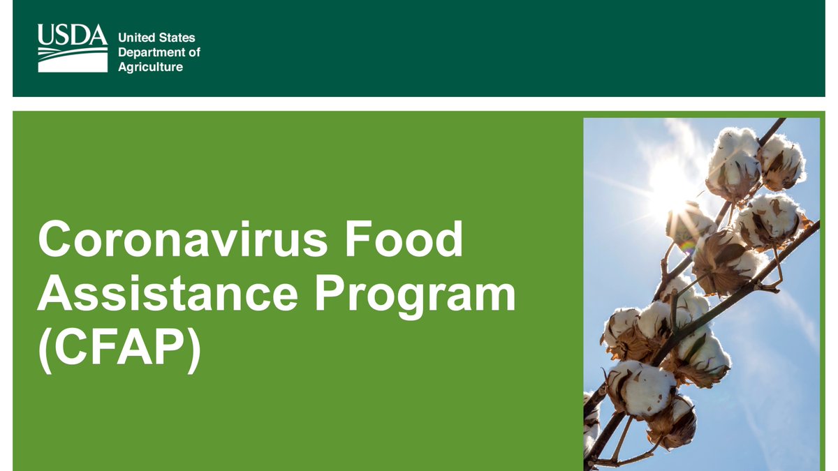 Purdue Center for Commercial Agriculture (@pucommercialag) on Twitter photo Interested in learning more about USDA's #Coronavirus Food Assistance Program (#CFAP)?
<a href="/JamesMintert/">James Mintert</a> sat down with Indiana <a href="/usdafsa/">Farm Service Agency</a> Director Steve Brown and staff to discuss eligibility requirements, payment rates & application details.
✨purdue.ag/CFAP Interested in learning more about USDA's #Coronavirus Food Assistance Program (#CFAP)?
<a href="/JamesMintert/">James Mintert</a> sat down with Indiana <a href="/usdafsa/">Farm Service Agency</a> Director Steve Brown and staff to discuss eligibility requirements, payment rates & application details.
✨purdue.ag/CFAP