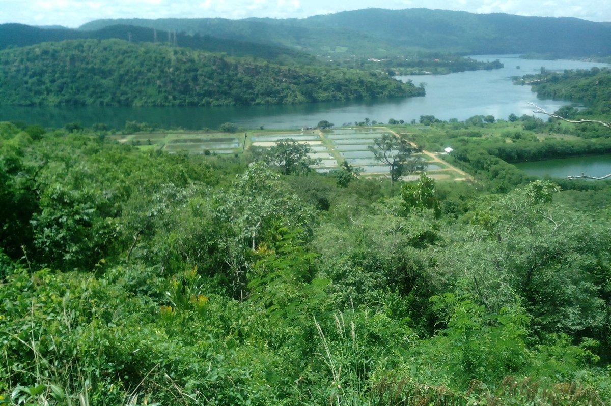 VoltaCities's tweet photo. Lake Volta, in the Volta region of Ghana is the  largest man-made lake in the world. It covers about 3.6 percent of Ghana’s area. 

#VisitVolta 
#VoltaWonders.
#VoltaCities https://t.co/fSafYkrytL