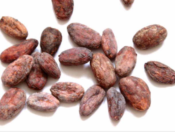 KateWilliamsme's tweet image. Can you win the National General Knowledge Quiz? Here for the launch of #SkyNature #SkyDocumentaries #SkyHISTORY @SkyTV. app.ex.co/stories/skyush…. And my EXTRA question that only 5 people have ever got. What is the NUT in a Cadbury‘s Fruit and Nut? Don’t google it!!