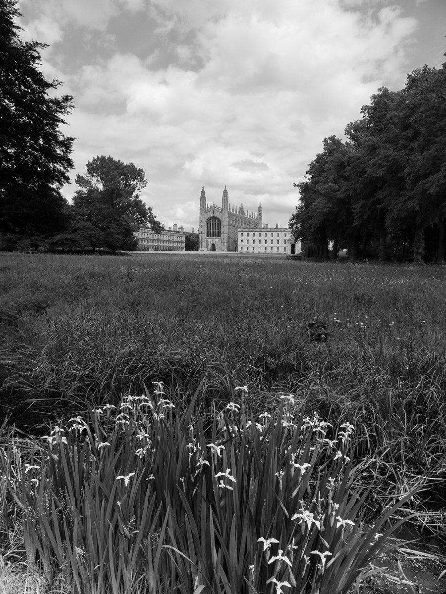 London_W4's tweet image. Celebrating the end of lockdown with a lovely long drive to Cambridge. Really lovely day in the sunshine. I&apos;d missed it during Lockdown. 
#WednesdayMotivation #LockdownIsOverThanksDom #PhotosOfMyLife #Cambridge