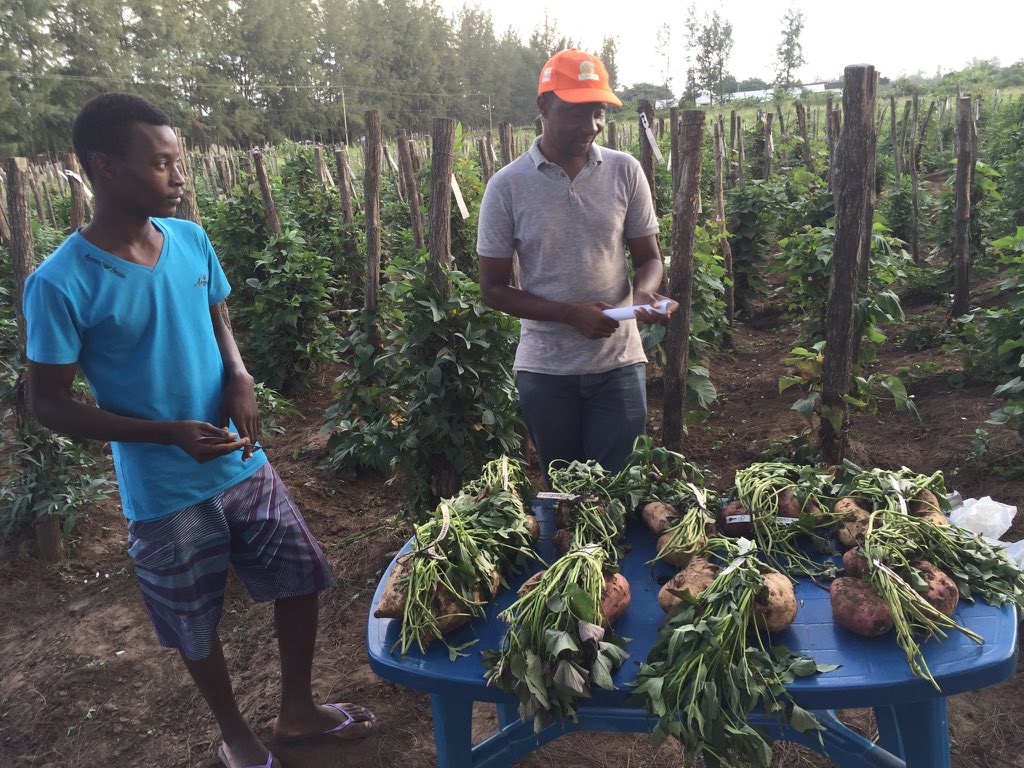 BeitFarms tweet media