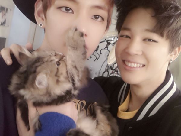 taehyung with cats, an adorable thread