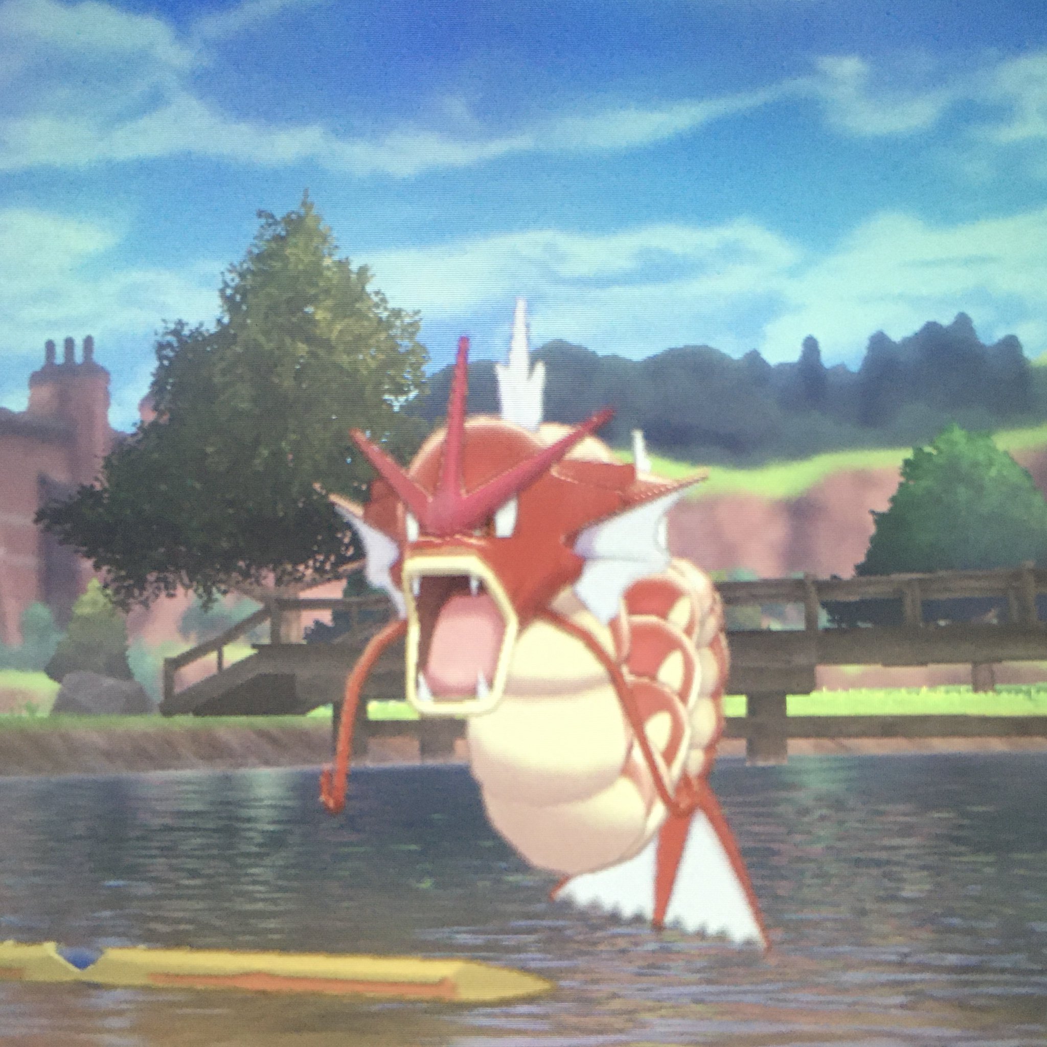 scottcinderquil on Twitter "I got Pokémon Sword after the shiny