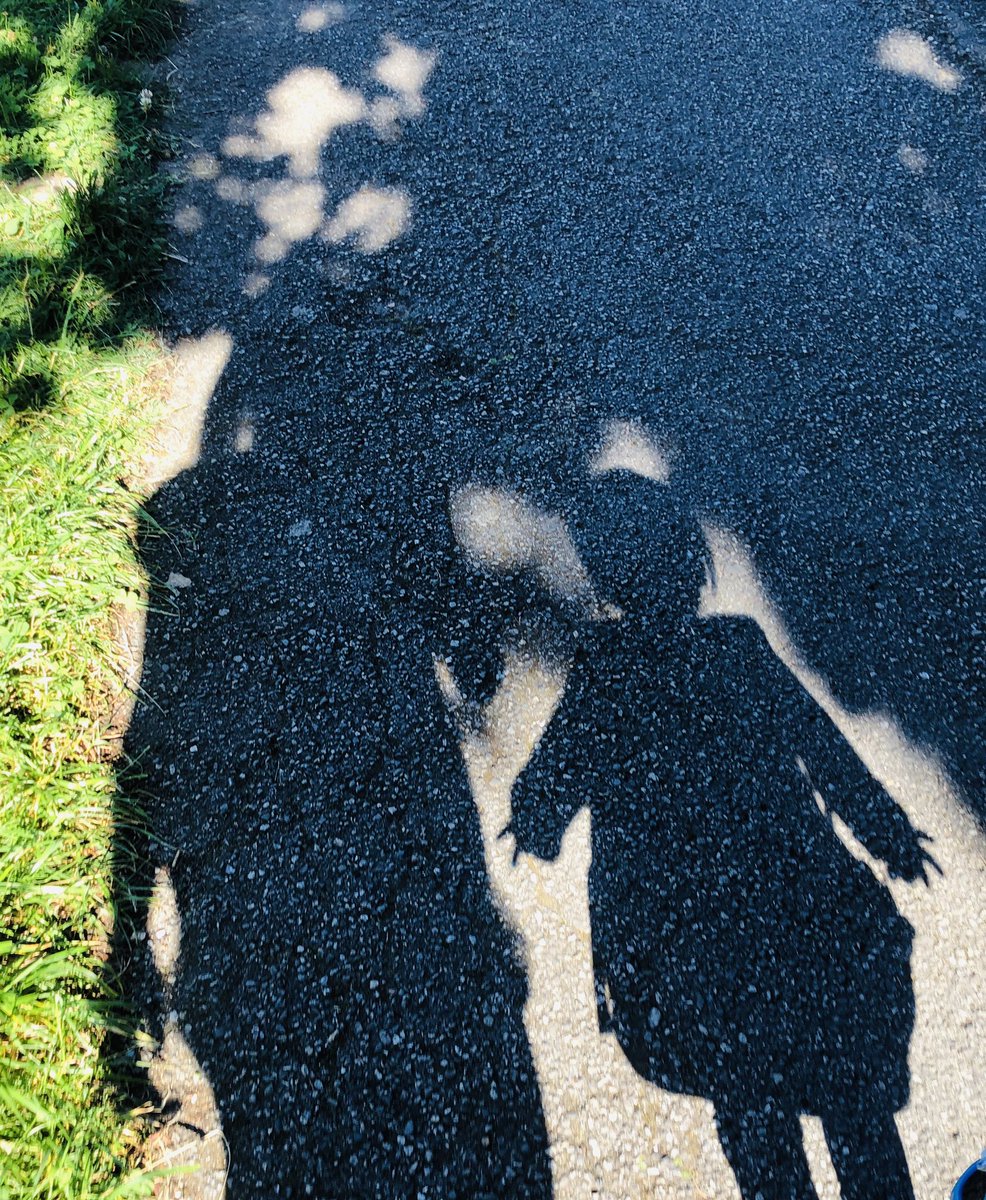 Dr Tana Wuliji tweet media