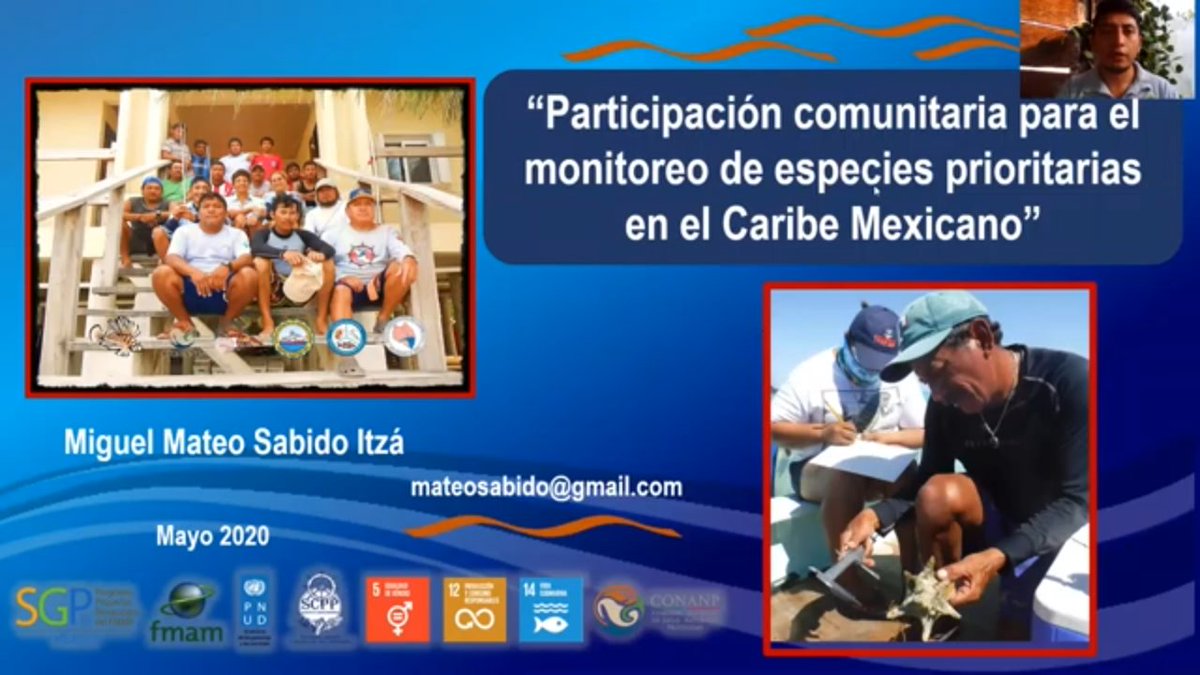 ACADEMIA JOURNALS 2020 DEL ITCH
Te invitamos a ver la siguiente conferencia:
Participación en Monitoreos de especies prioritarias en el Caribe Mexicano
Miguel Mateo Sabido Itzá
Egresado del ITCH
Área: Lic.Biología y Maestría  Manejo de Zona Costera
bit.ly/2ZOUzKG