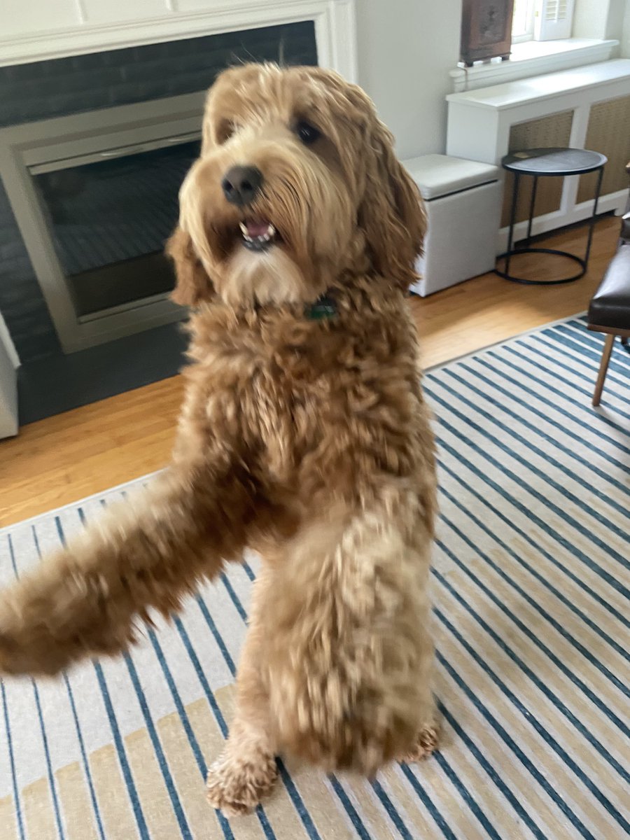 MatsonGroup's tweet image. #LaunchAmerica