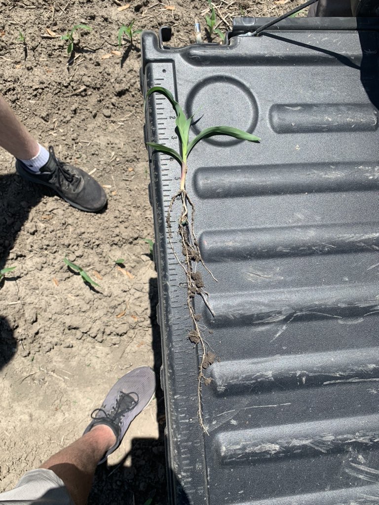 Bodie Kitchel tweet media