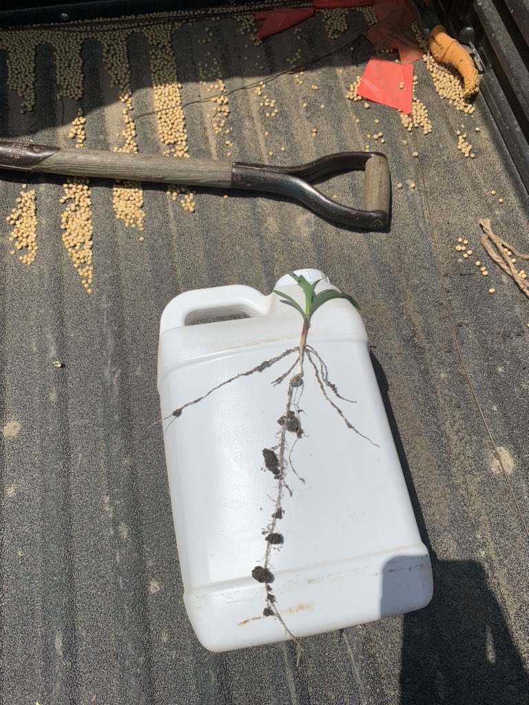 Bodie Kitchel tweet media