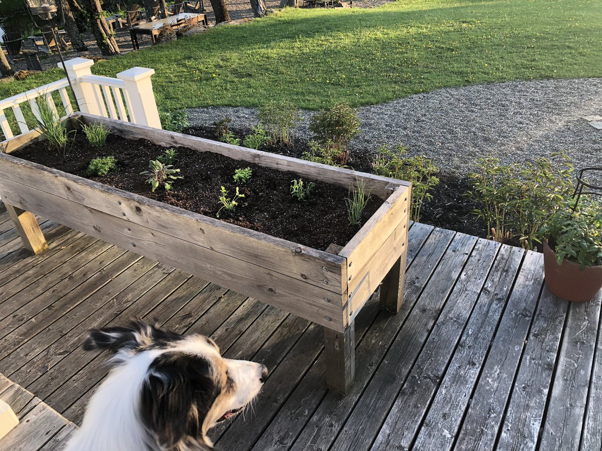 DanielaKeon's tweet photo. #mylifeinpictures Day3/7 Rules: no words, no people (hope dogs count), challenge a new person everyday for 7 days. I was challenged by @itsbethbell. You are missed !Today I challenge @Melan1e_G1lbert https://t.co/lQtSicwhRk
