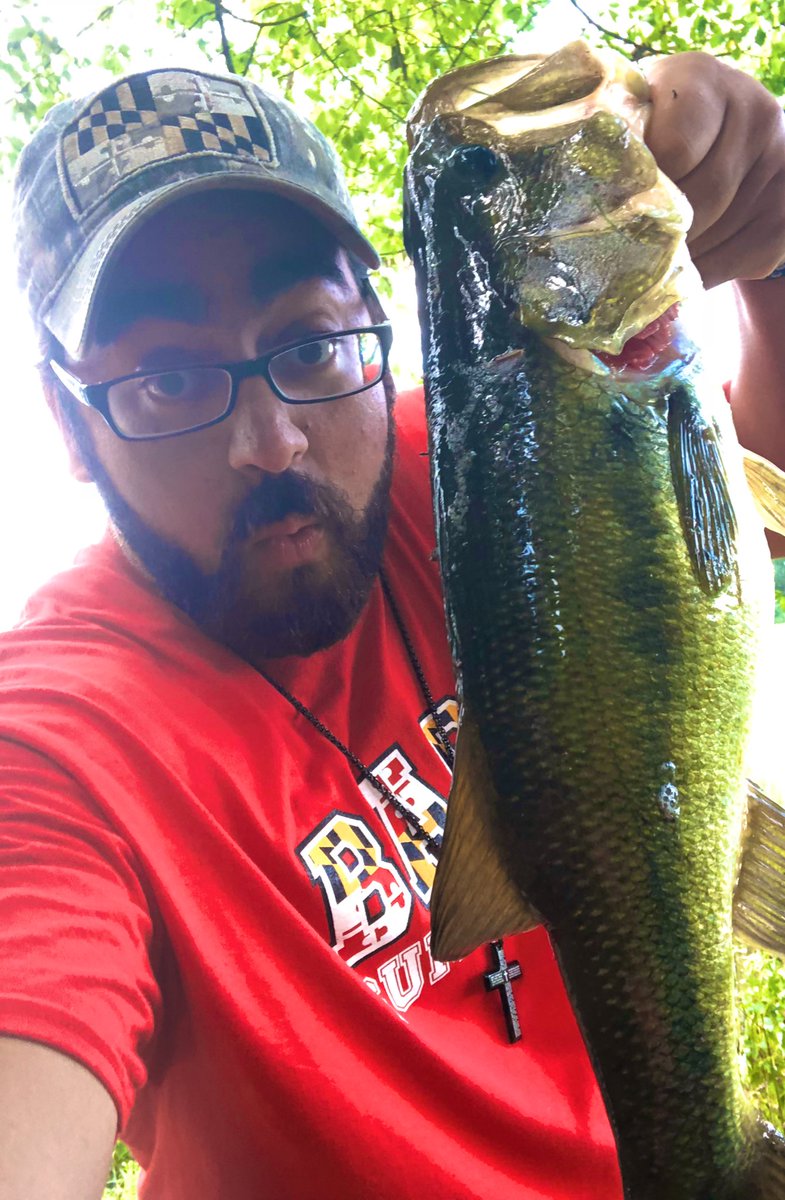 OldManOlaf's tweet photo. Hey @TimberMerks,
Hooked it just right!
#FishHigh or #FlyHigh https://t.co/Eck0BMvlGI