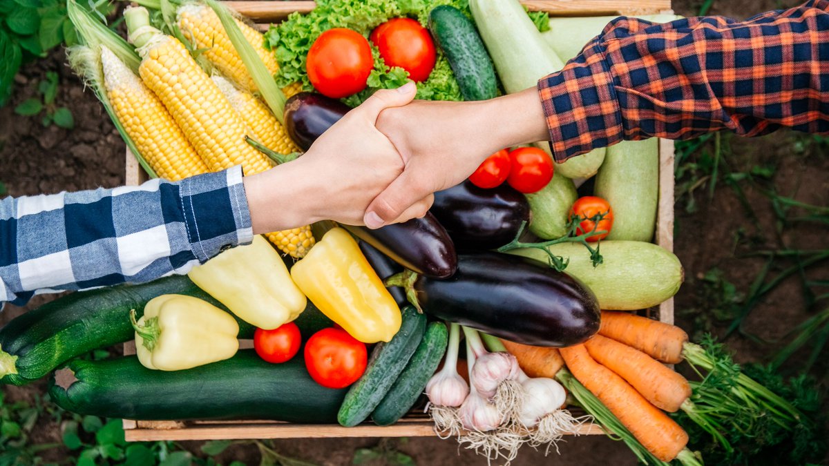 The lifeblood of VegNET flows from 10 regionally-based extension projects.

The new <a href="/Hort_Au/">Hort Innovation</a> VegNET project is focusing on effective extension strategy and <a href="/NTFarmers/">NTFarmers</a> is looking for enthusiastic NT stakeholders to join the project’s reference group: bit.ly/2LXpxZc