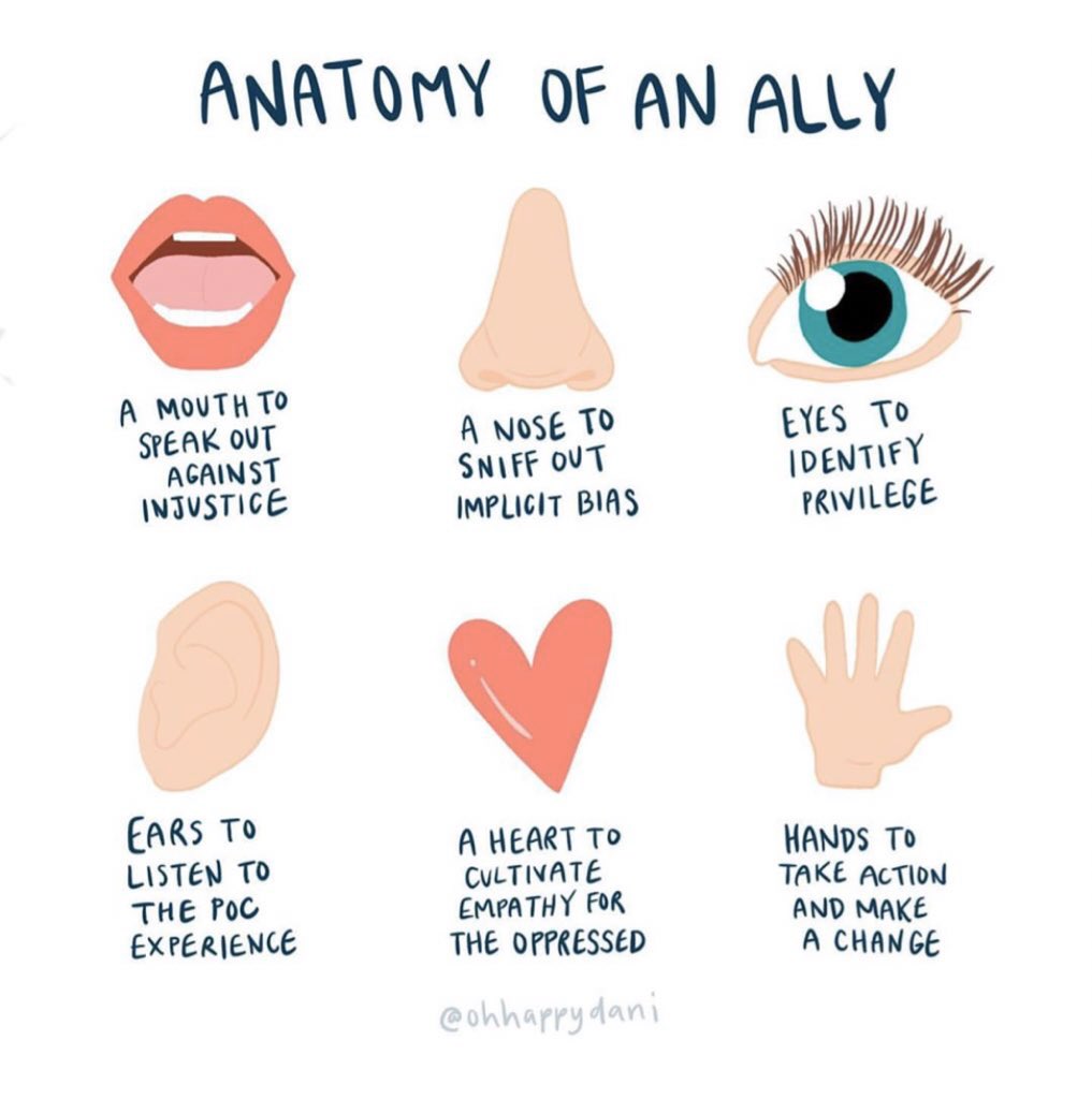 MrsBeccaDavis's tweet photo. Anatomy of an ally from @ohhappydani https://t.co/ePyG4Jdoa1
