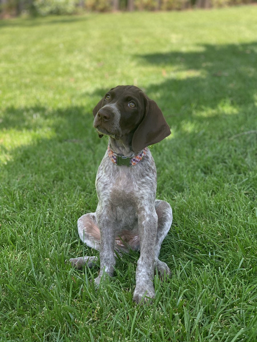 Mark Berglind tweet media