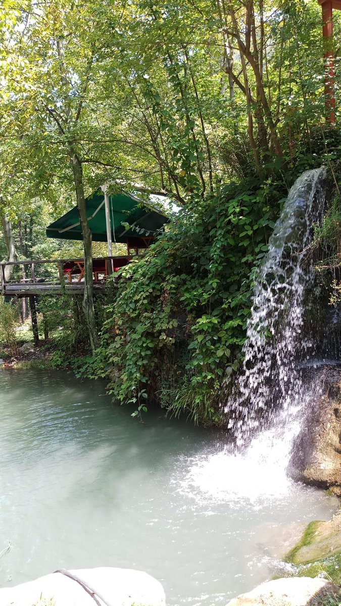 wpoo_'s tweet image. #مسابقه_زيوكس_السعودية