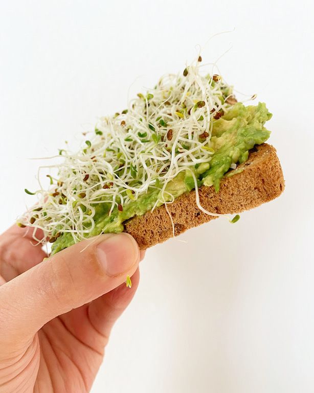 saglikvegzersiz's tweet image. How to Grow Your Own Sprouts #bloghealthy buff.ly/36y54DK from @wheatlesskitchn