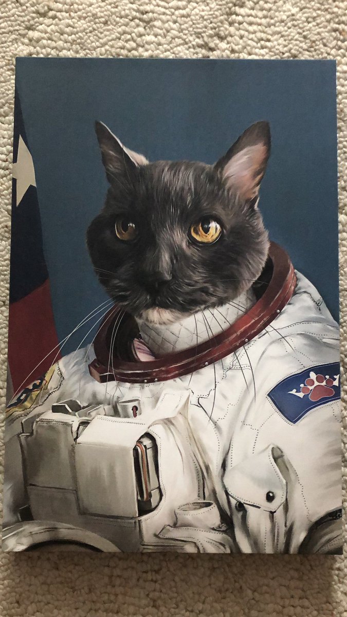 ChadAllard's tweet photo. Our cat Skip is ready for the SpaceX Launch!  #LaunchAmerica https://t.co/0cF6Miyxfb