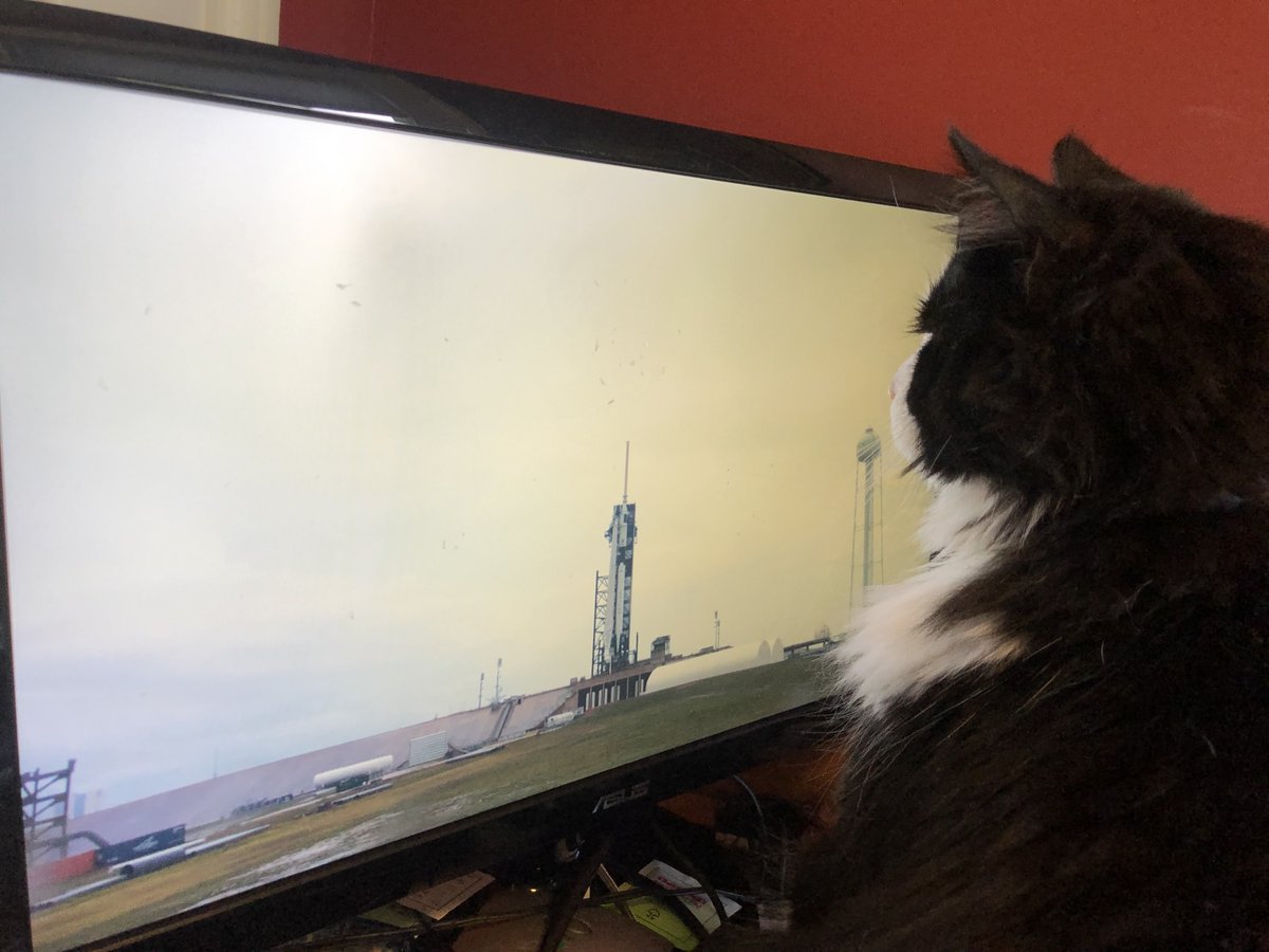 Stephen Irons tweet media