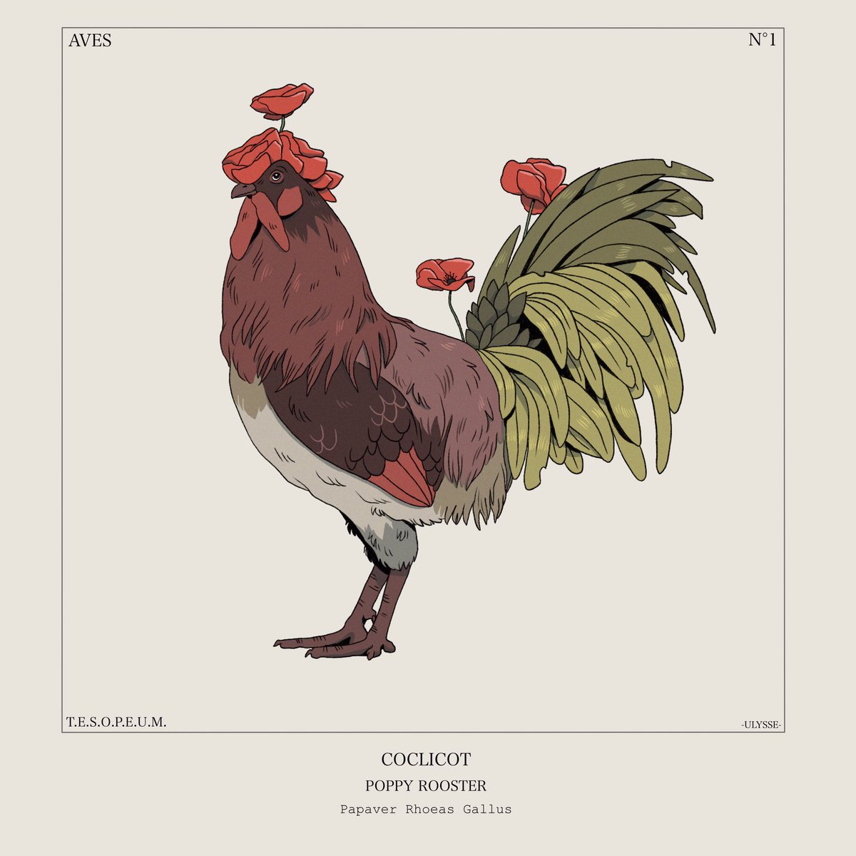Ulyssse_'s tweet photo. Coclicot, Poulicote et des Poulherbes. 🐓

Chez les poulicotes, c’est le mâle qui porte les fleurs afin de séduire ces dames (comme les cerfs fleuris japonais).

#chicken #rooster #poppy #conceptart #bestiaire #beastiary #characterdesign #visualdevelopment #utremundi https://t.co/HssrwcBruL