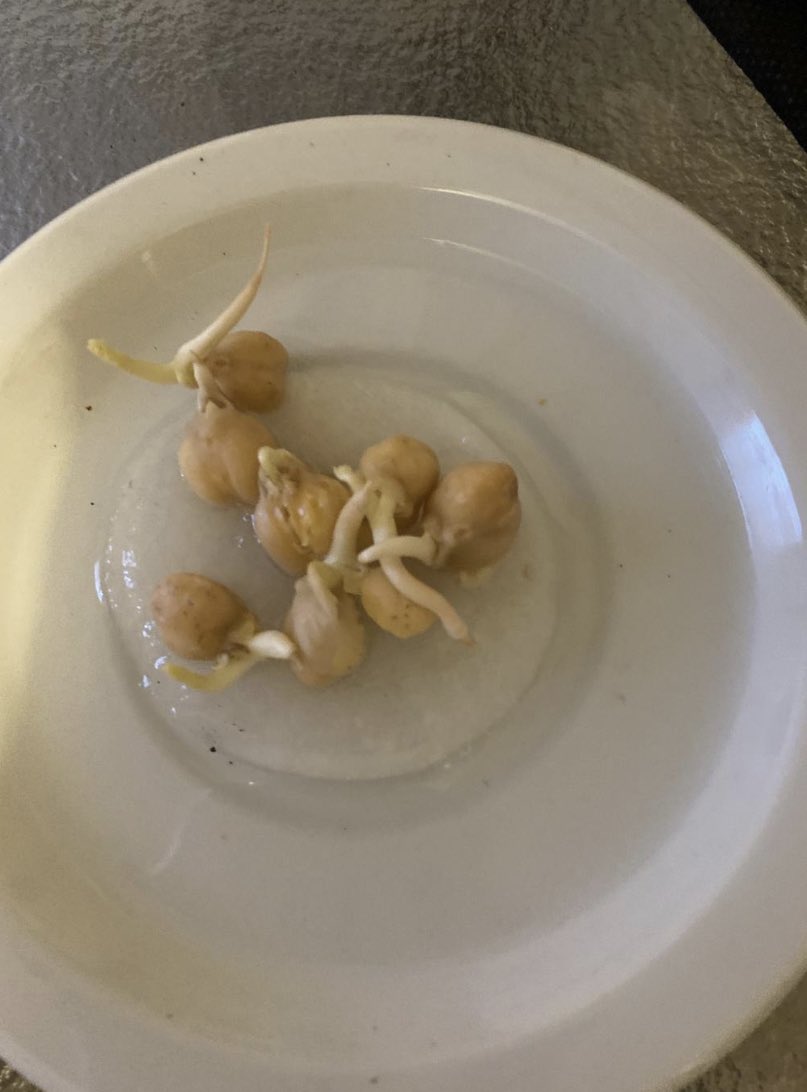 Mr. RRRbit tweet media