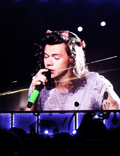 flower crown harry a thread