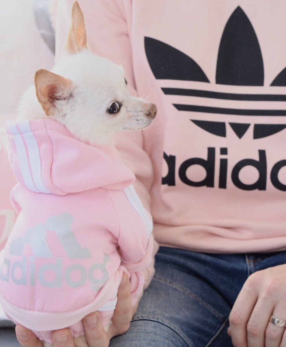 The Pink Millennial tweet media